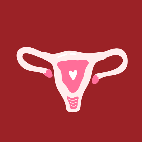 uterus