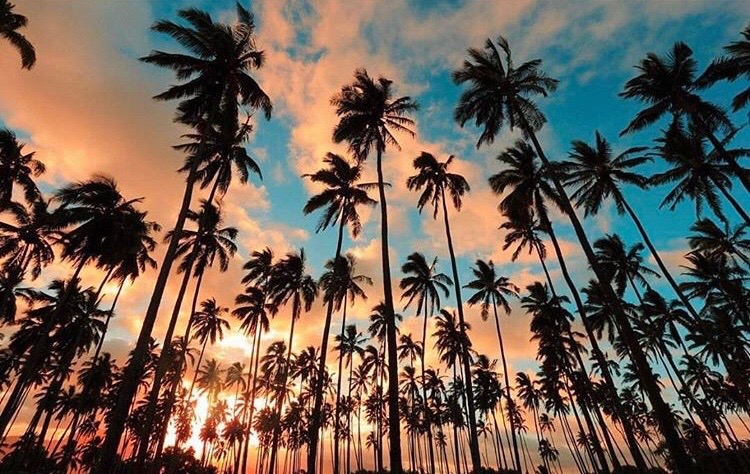 The Aloha Thread project screenshot